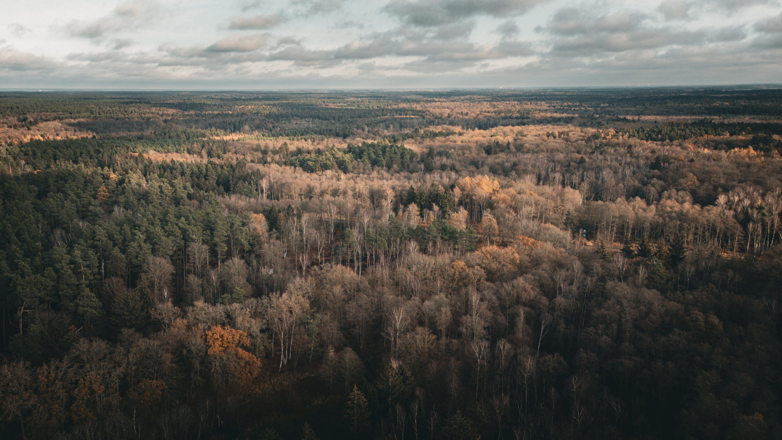 DJI_0270-Enhanced-SR
